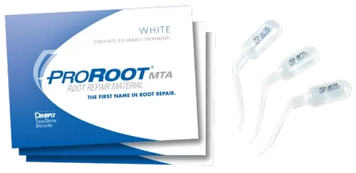 Dentsply Proroot MTA 0.5 Gm